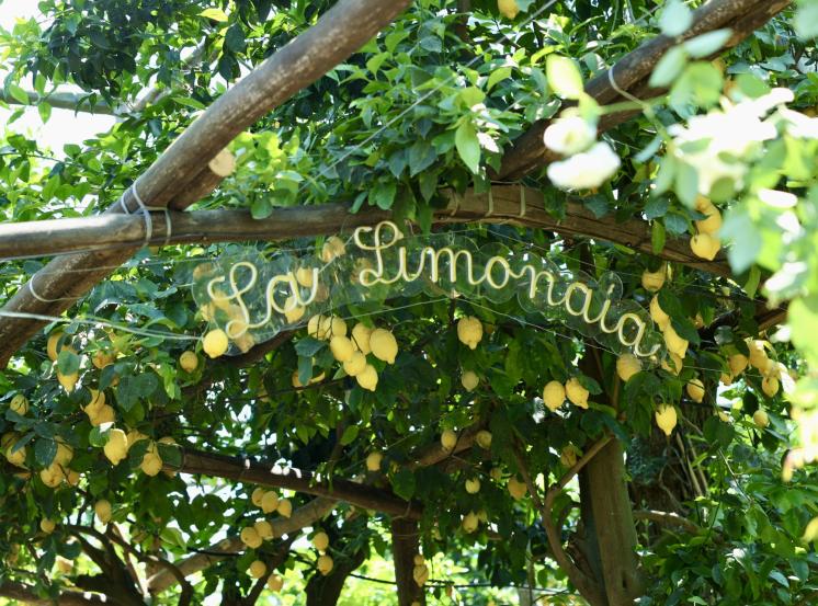 Ristorante La Limonaia